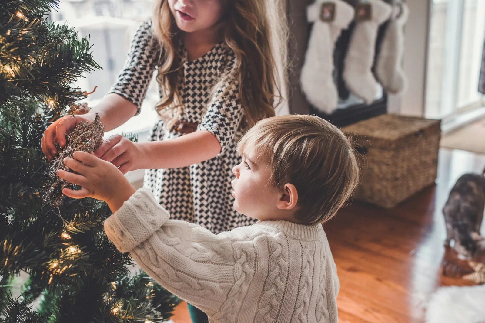 Two kids hanging ornaments on a fresh Christmas tree